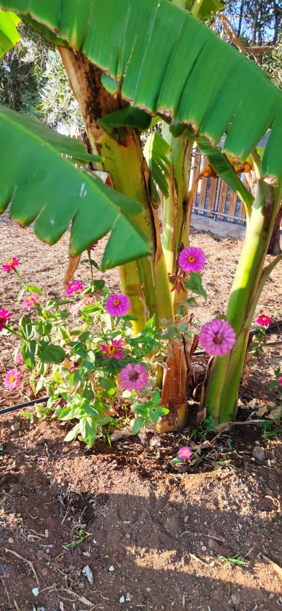 דירות Agüimes Casita Leos מראה חיצוני תמונה